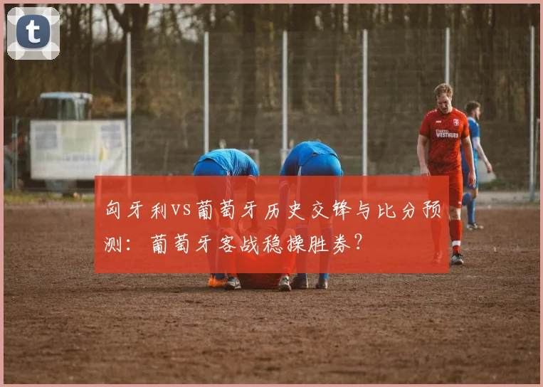 匈牙利vs葡萄牙历史交锋与比分预测：葡萄牙客战稳操胜券？
